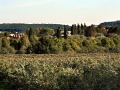 from Nine Ash Lane
